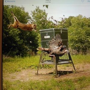 Meet your Posher, Jordan